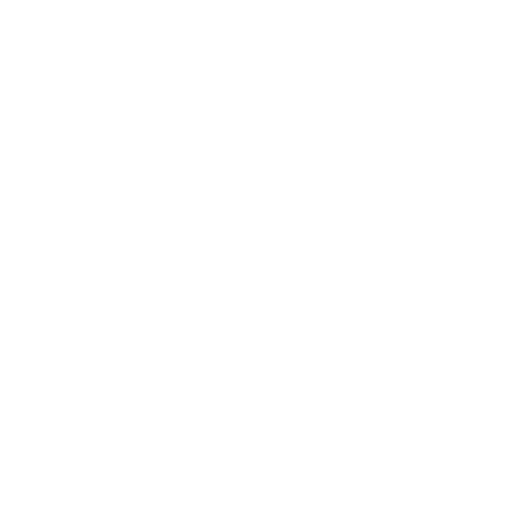 المبادرات الشبابية غير الربحية، المنظمات الناشئة أقل من سنتين